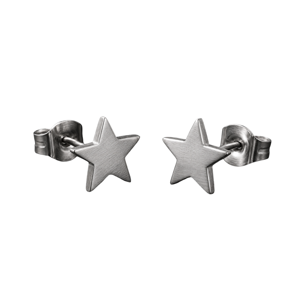 Brushed Stainless Steel Star Earrings – Silver | GINBENTLIN