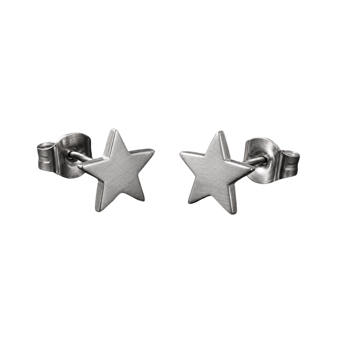 Brushed Stainless Steel Star Earrings – Silver | GINBENTLIN