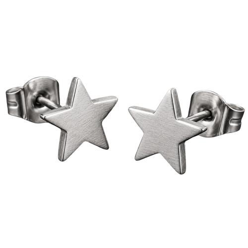 Brushed Stainless Steel Star Earrings – Silver | GINBENTLIN